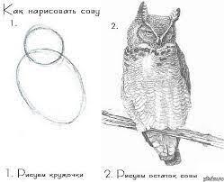 Как легко нарисовать сову…