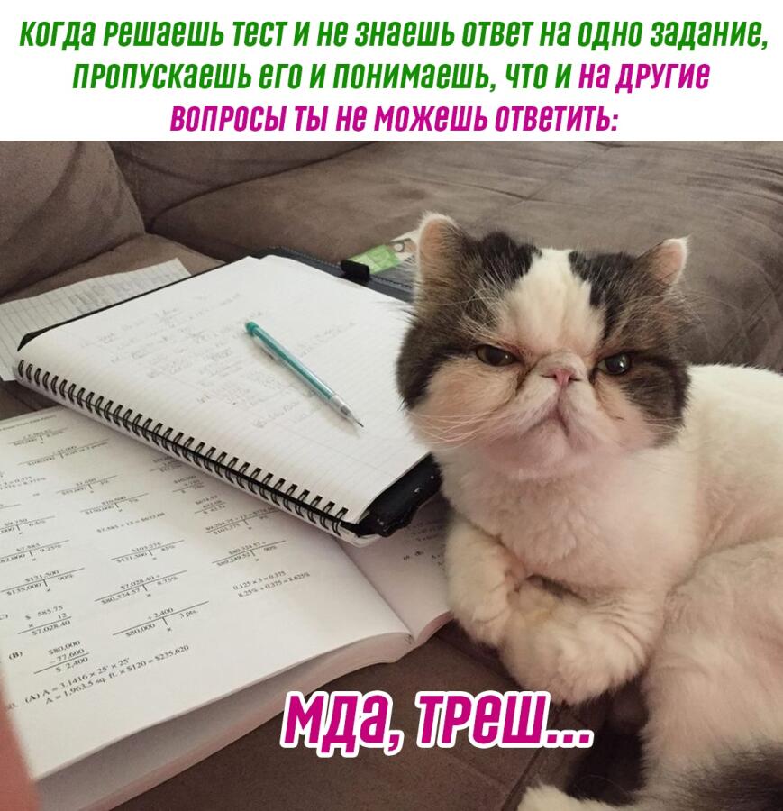 Мем от barsik