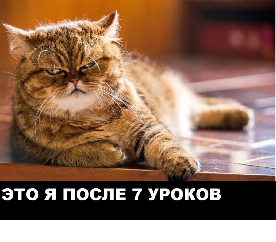 Мем от barsik