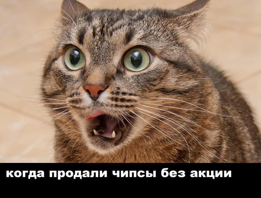 Мем от barsik
