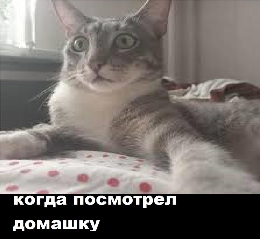Мем от barsik
