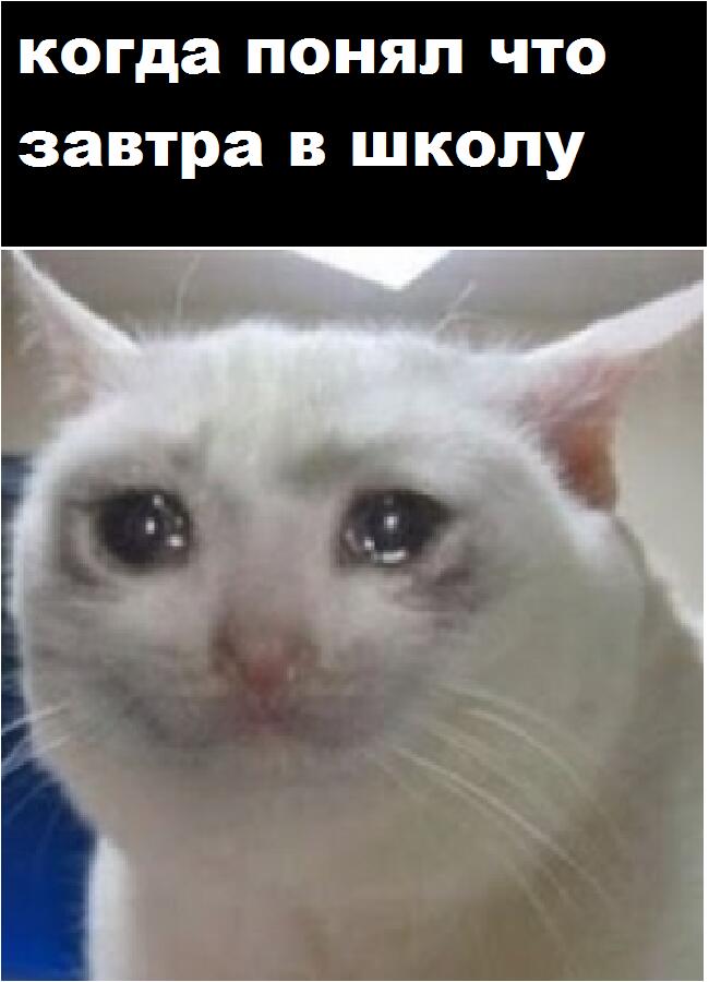 Мем от barsik