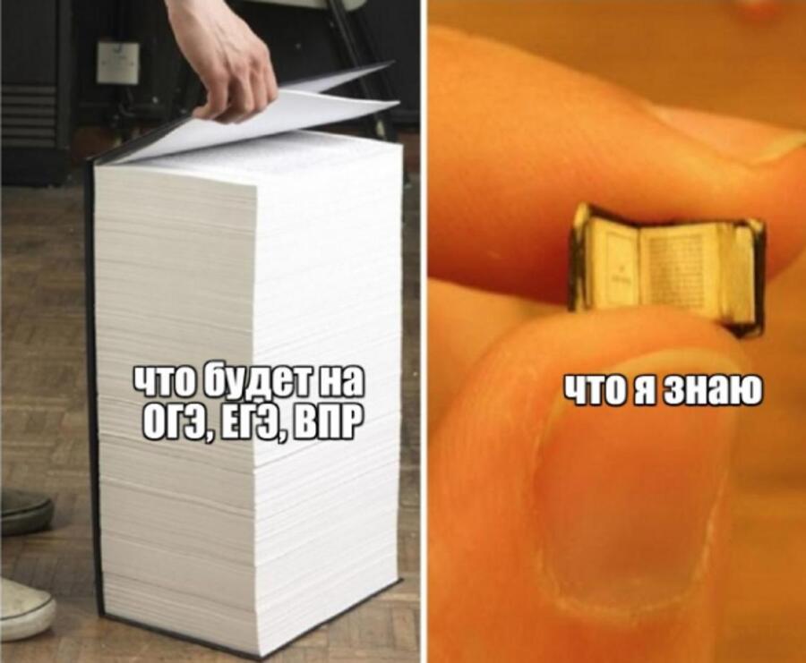 Мем от barsik