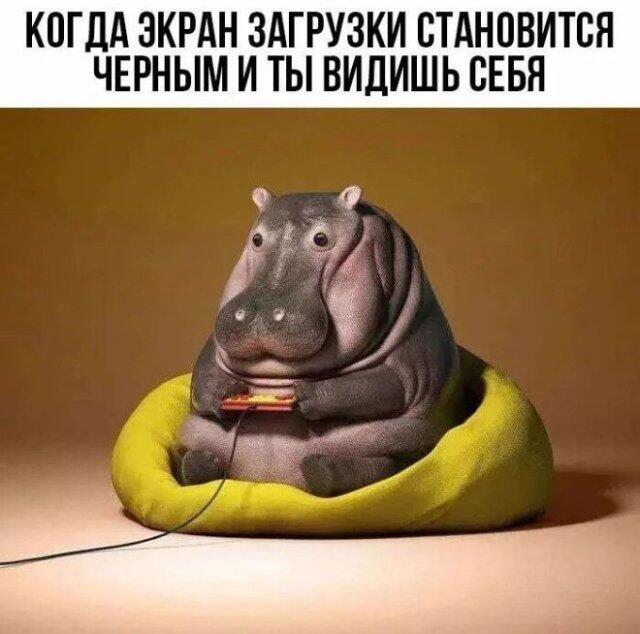 Мем от barsik