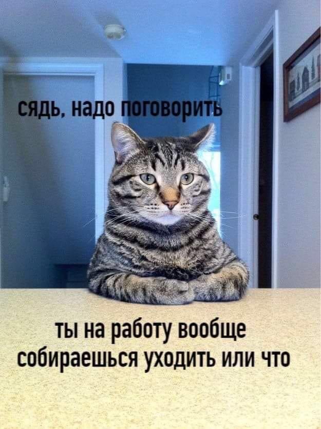Мем от barsik