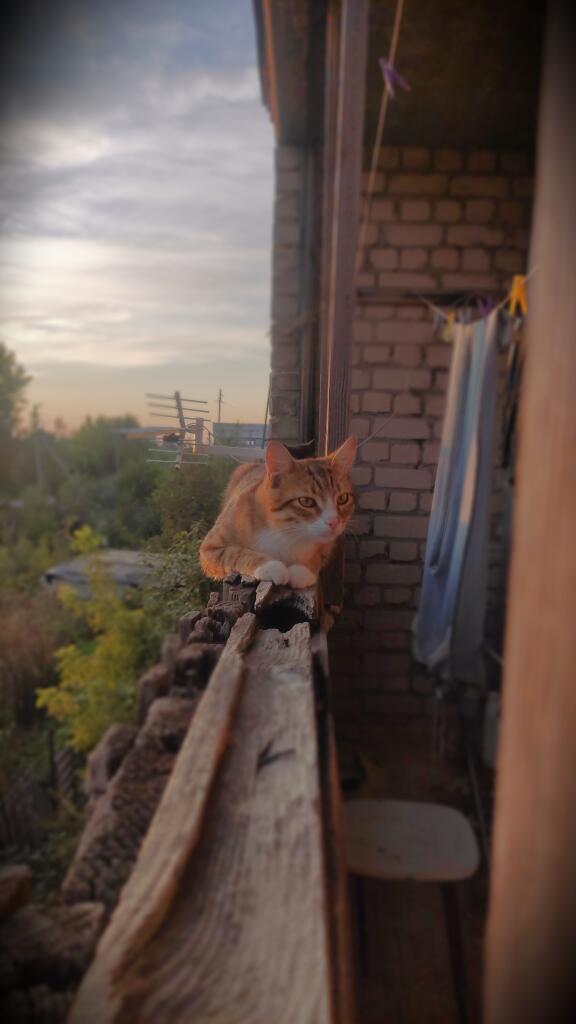 Паровозик))