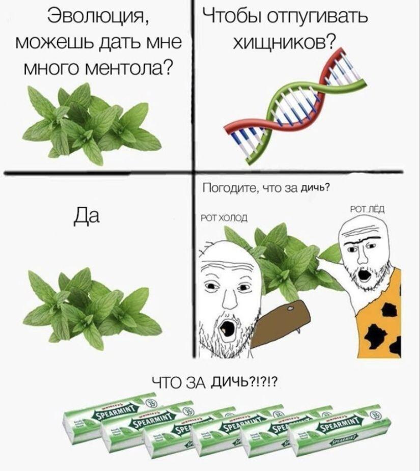 Что-то как-то не помогло