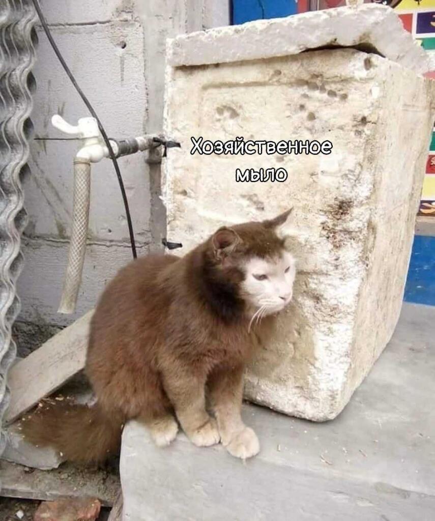 Мем от Макар Доля🔧😾
