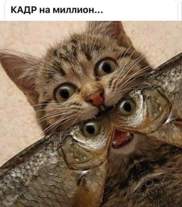 Удачный кадр
