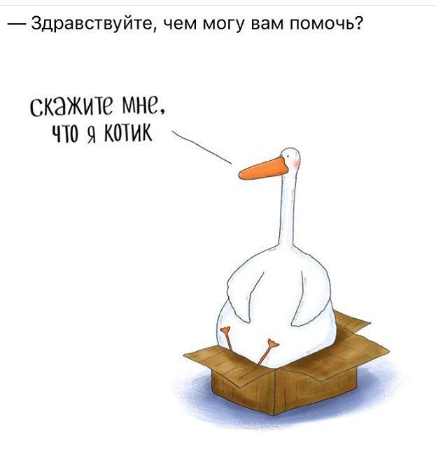 когда ты в душе кот