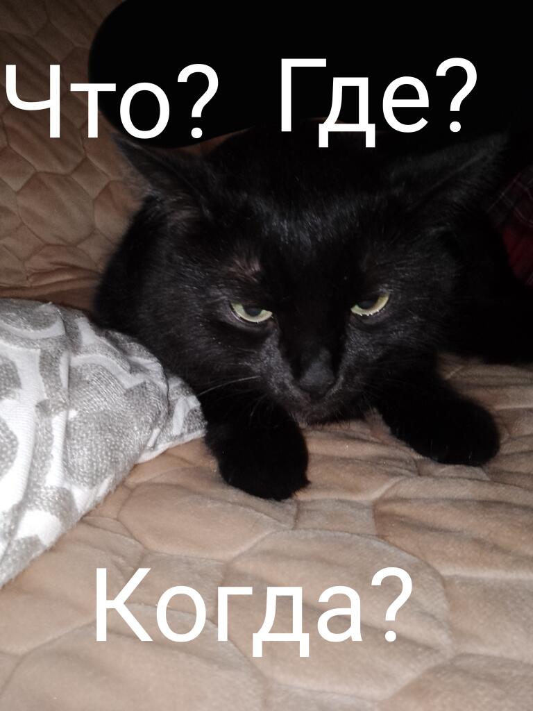 Когда тебя разбудила в детстве мама и пора уже в школу:
