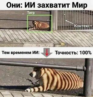 Двухпанельный мем: сверху рамка распознавания на коте с полосами, снизу кот, выкрашенный под тигра, и подпись Точность 100%