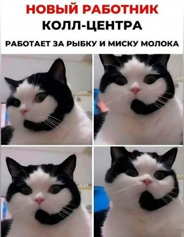 Мем от Ироник{ПЛМ}