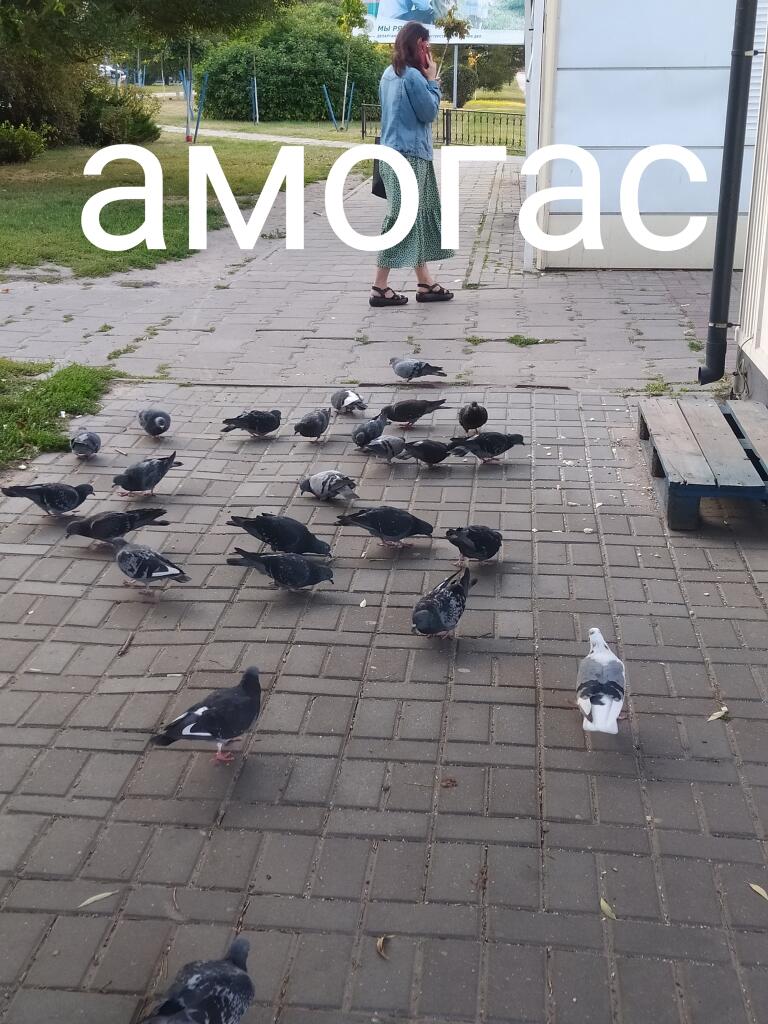 Амогус