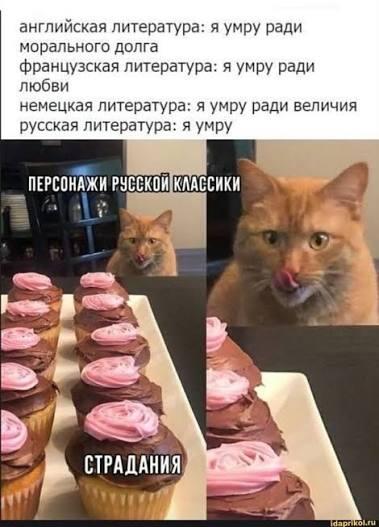 Мем без подписи