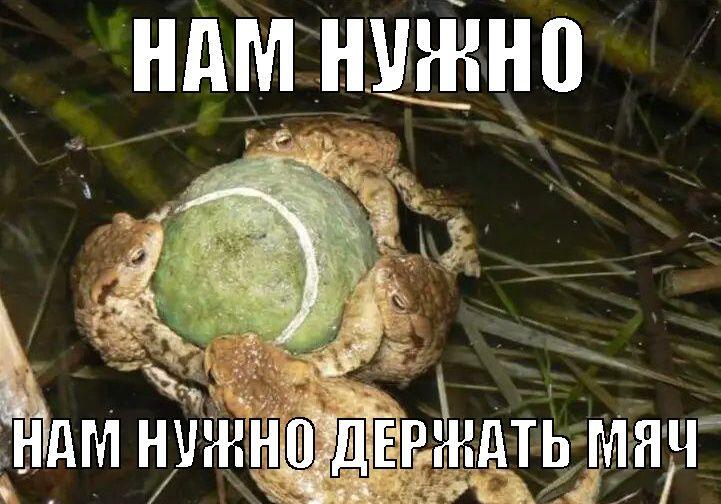 Мем от 🌸💥|цвяточный ад {ПЛМ}