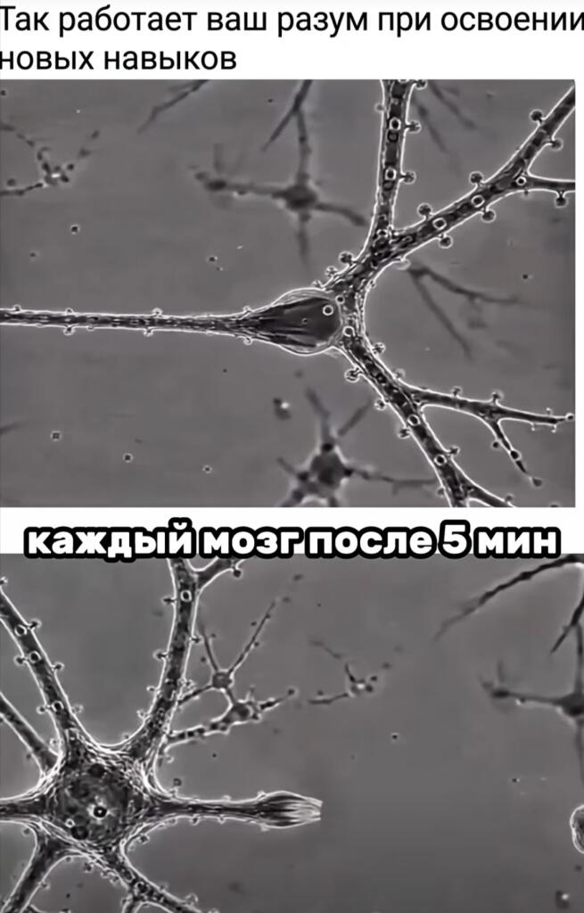 Мем без подписи