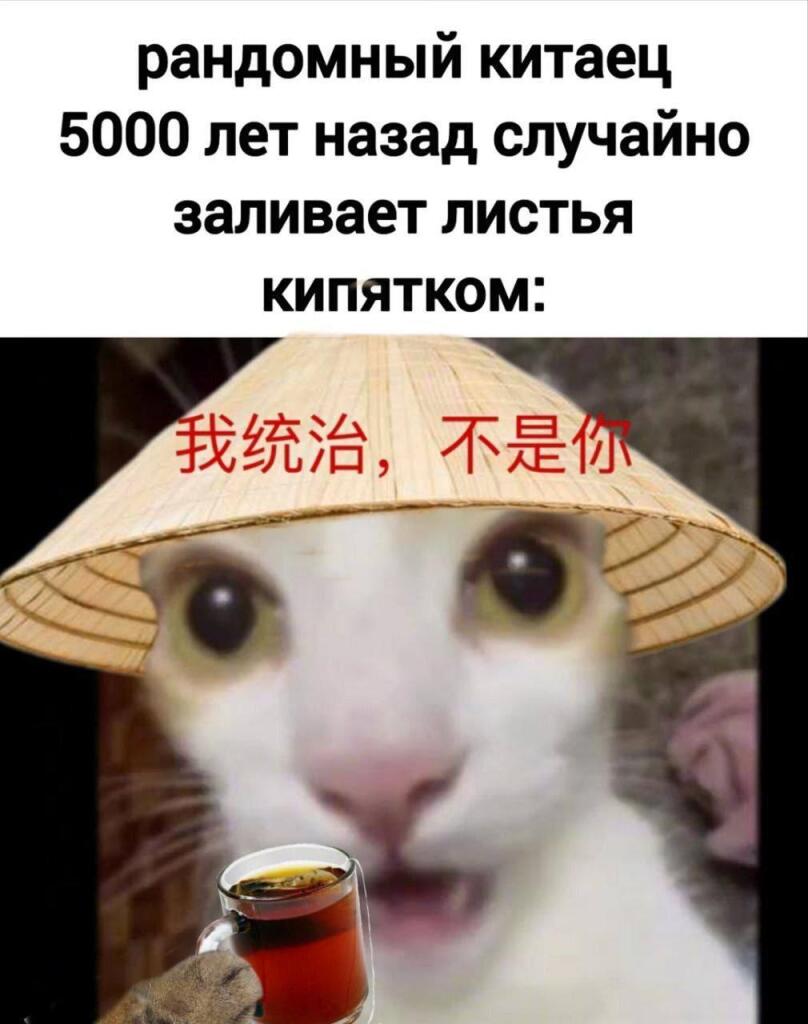 哇，那是茶！