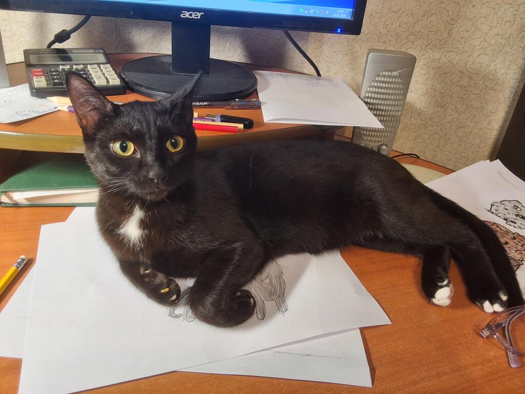 Кто ещё не видел мою сладкую булочку? ^• •^