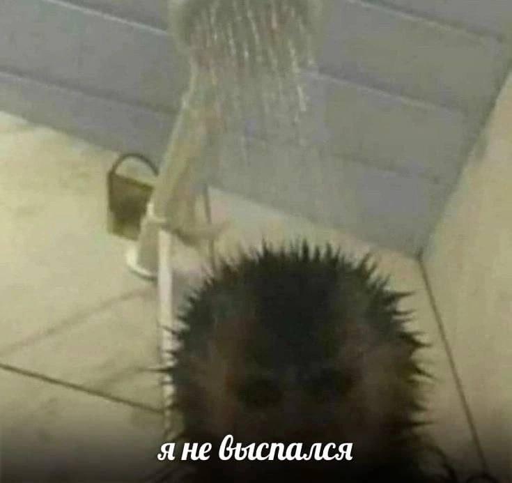 Мем от St_Egor