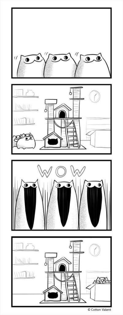 котяры они такие