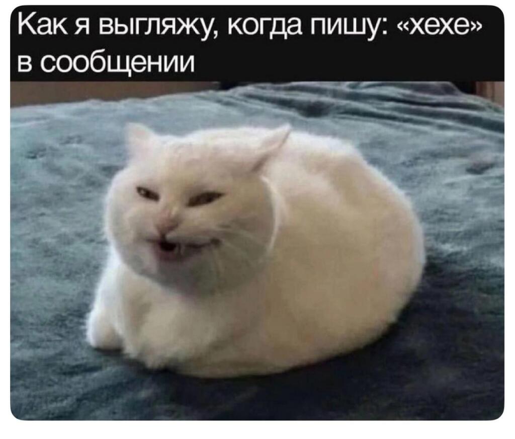 Вот вам 4 прикола