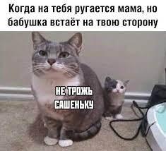 Жиза)))