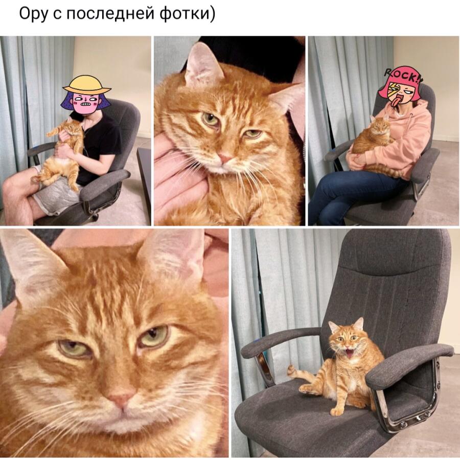 Мем от flint