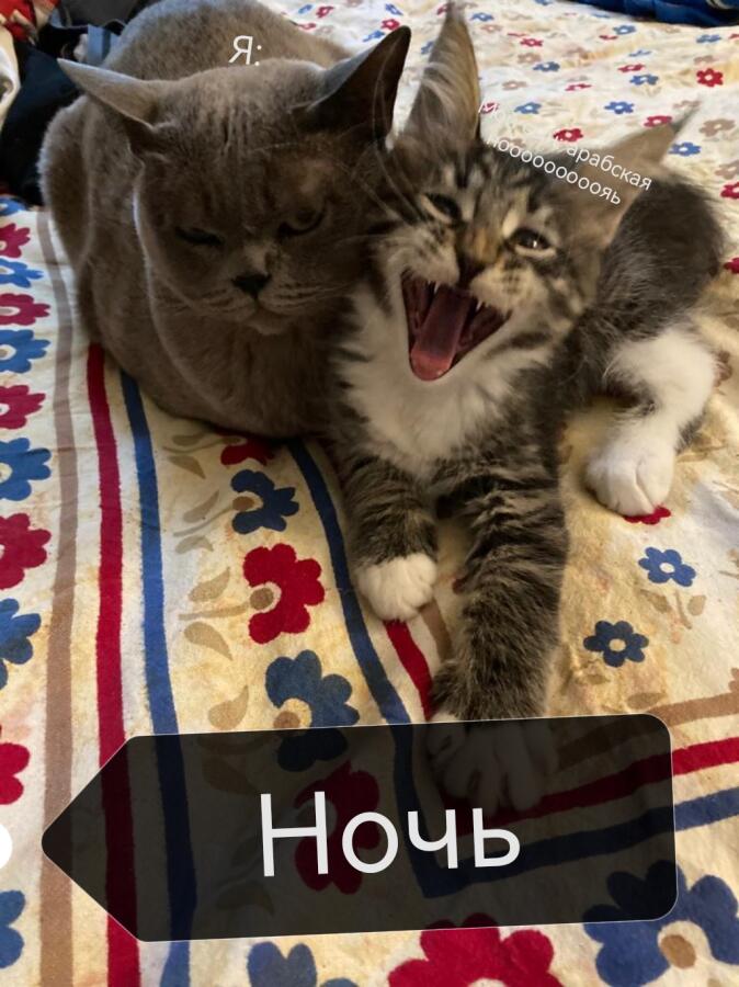 Я ночью и мой сын