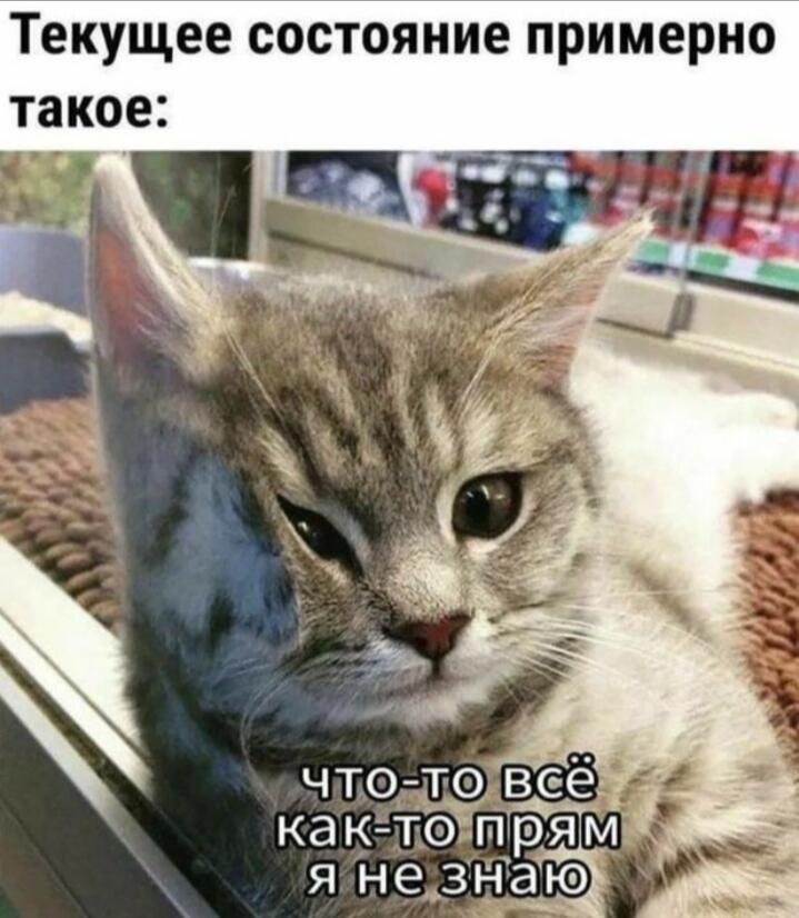Мем без подписи