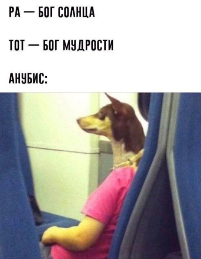 Мем от Ирико