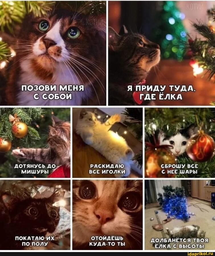 Подпевайте коту! Давайте все вместе! 
 
 
Вот текст : 
Позови меня с собой 
Я приду туда где ёлка 
Дотянусь до миш
