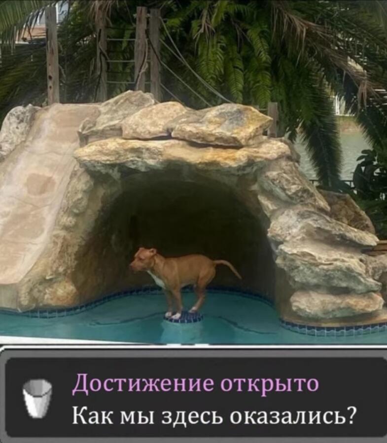 Мем от Echeverey