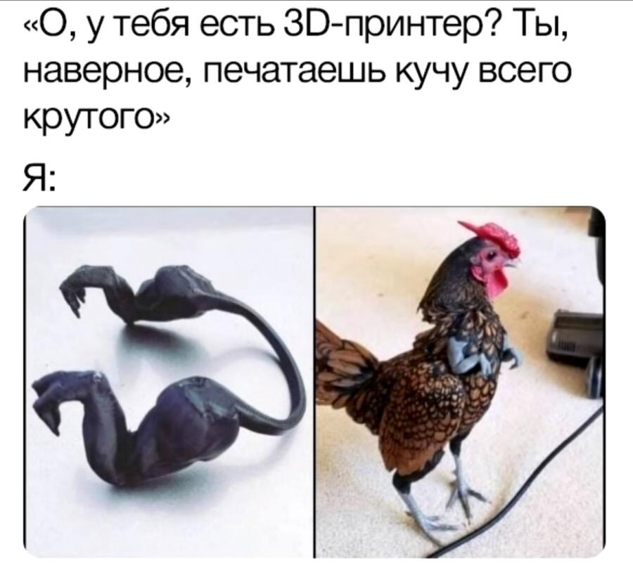 Мем от Echeverey