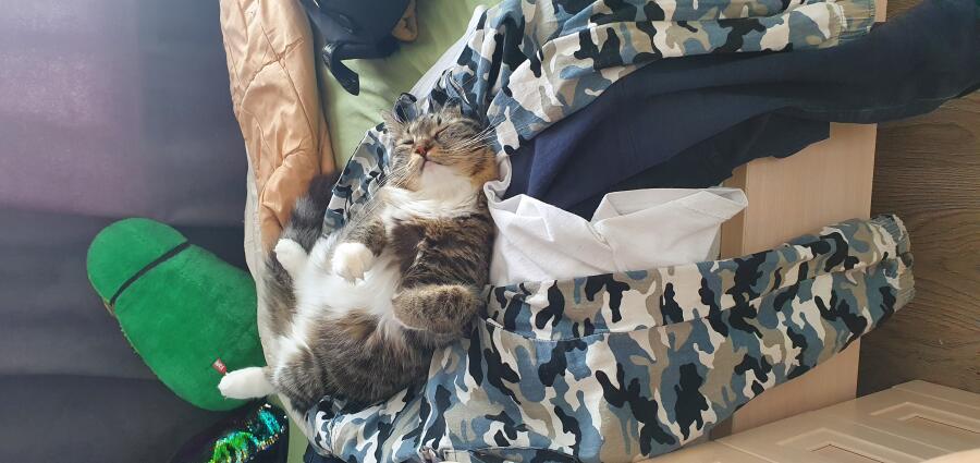 Мем от Вовчик