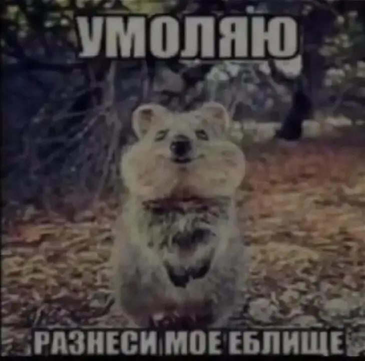 Пожалуйста разбей мне лицо мем