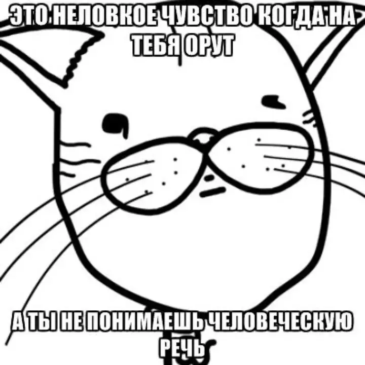 смешные мемы про котиков. смешной котик с матом. смешные коты мемы без надписей. мемы с котами и надписями. мемы с котами без мата.