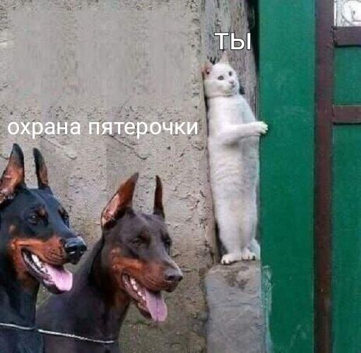Когда украл в пятерке жвачку по рублю