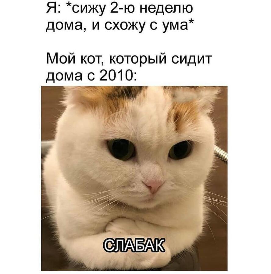Мем от Memasnik1245