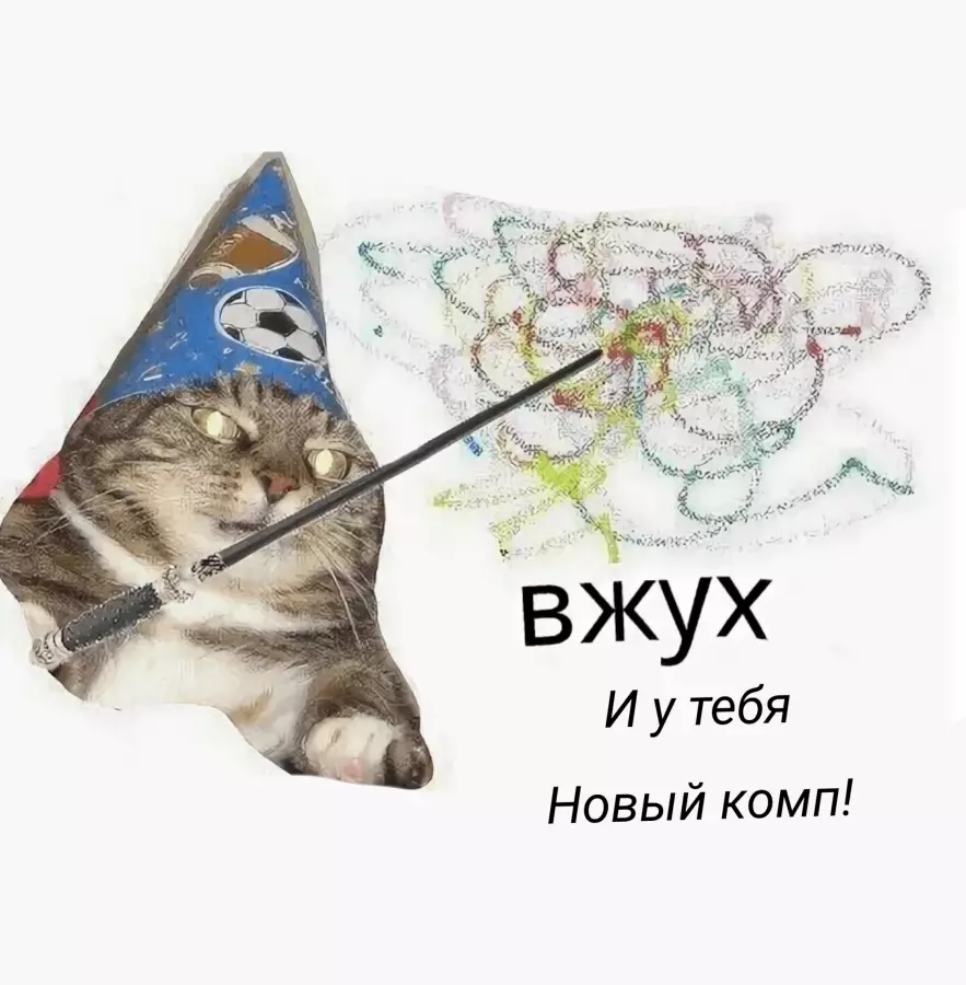 Вжух Мем. Вжух БП. Котик вжух.