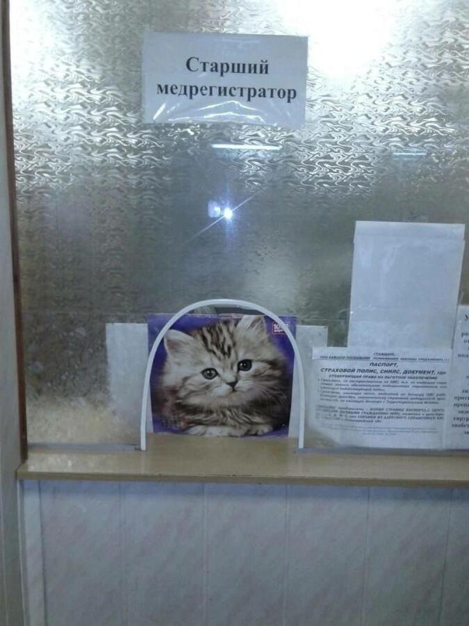Мем от Sir_memes