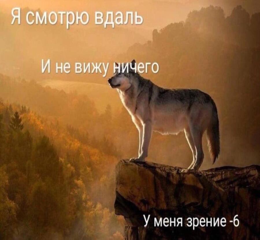 Мем от Sir_memes