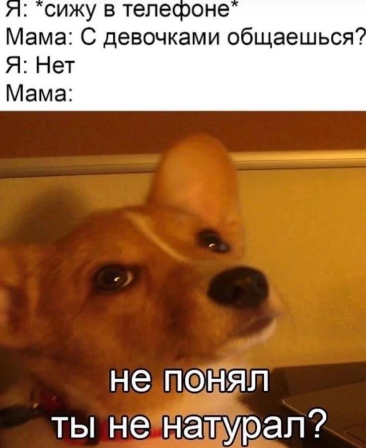 Мем от Sir_memes