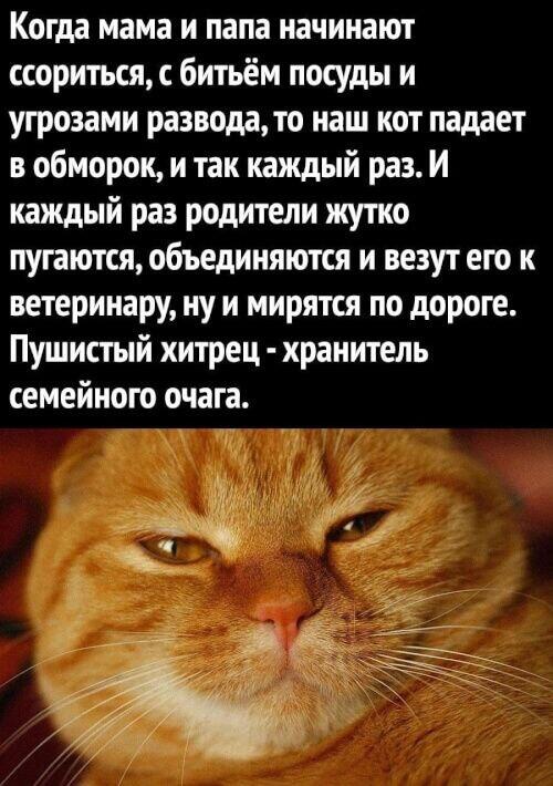 Мем от Sir_memes