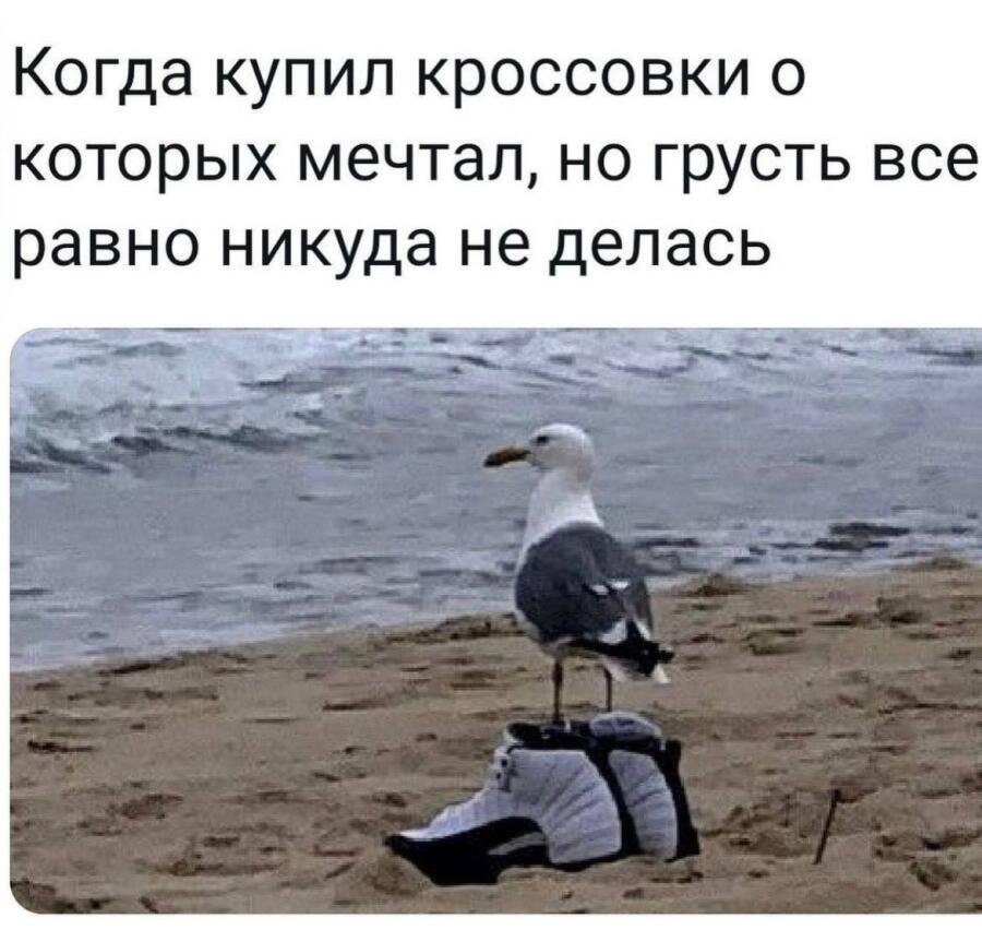 Мем от Sir_memes