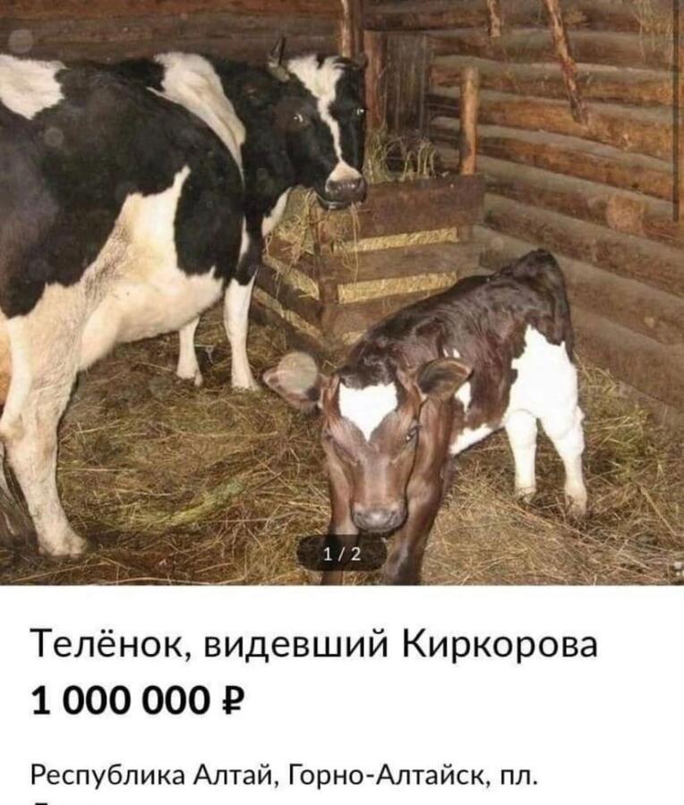 Это так дорого?