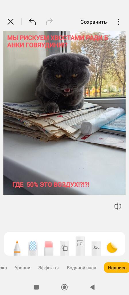 Мем без подписи