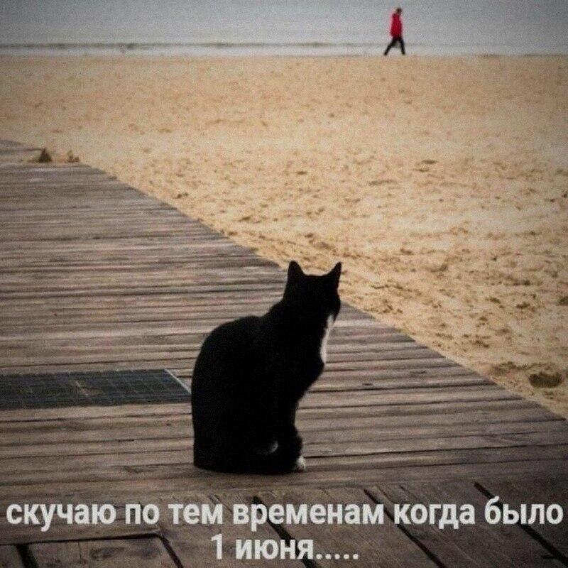 Мем от Милый Котяра