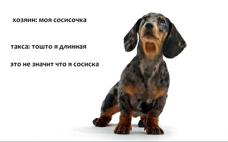 сосисочка