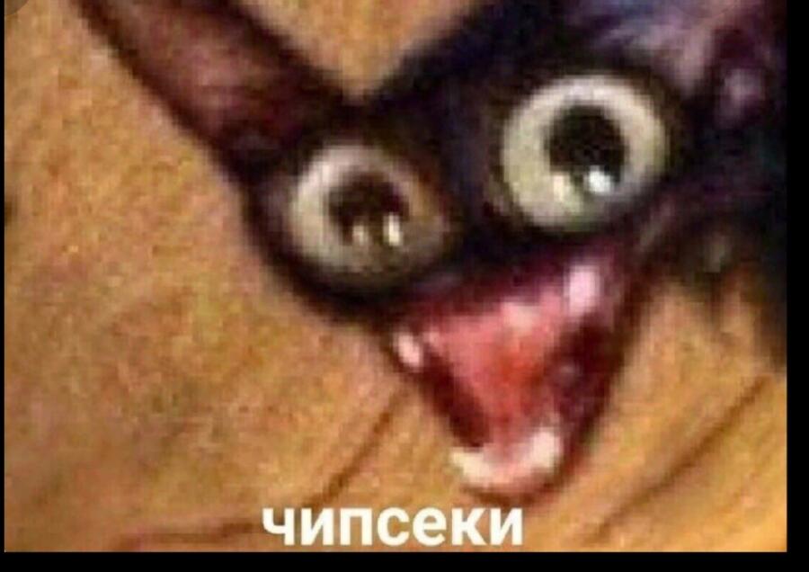 Мама просто принесла чипсы. 
Я как будто не евший их несколько лет: